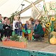 IMG 29